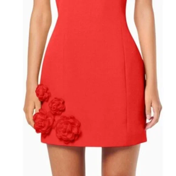 New Elliatt Trompe Mini Dress Red 3D Floral Size L - Picture 9 of 11
